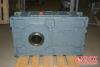 dsc08142_t1.jpg