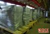 dsc08146_t1.jpg